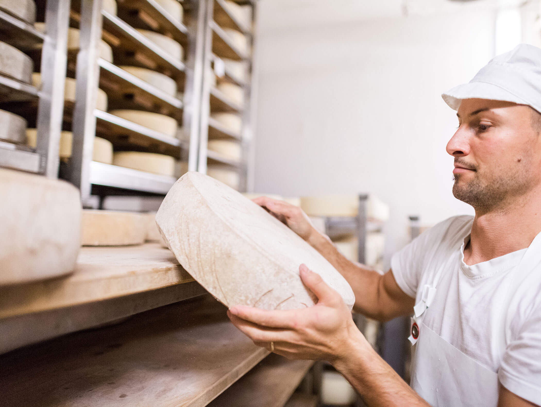 Man examining cheese - Sesto cheese dairy - detail - Ariane's Guesthouse