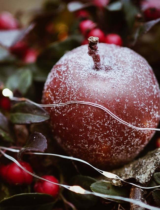 Christmas - detail - red apple covered with snowflakes - Ariane's Guesthouse
